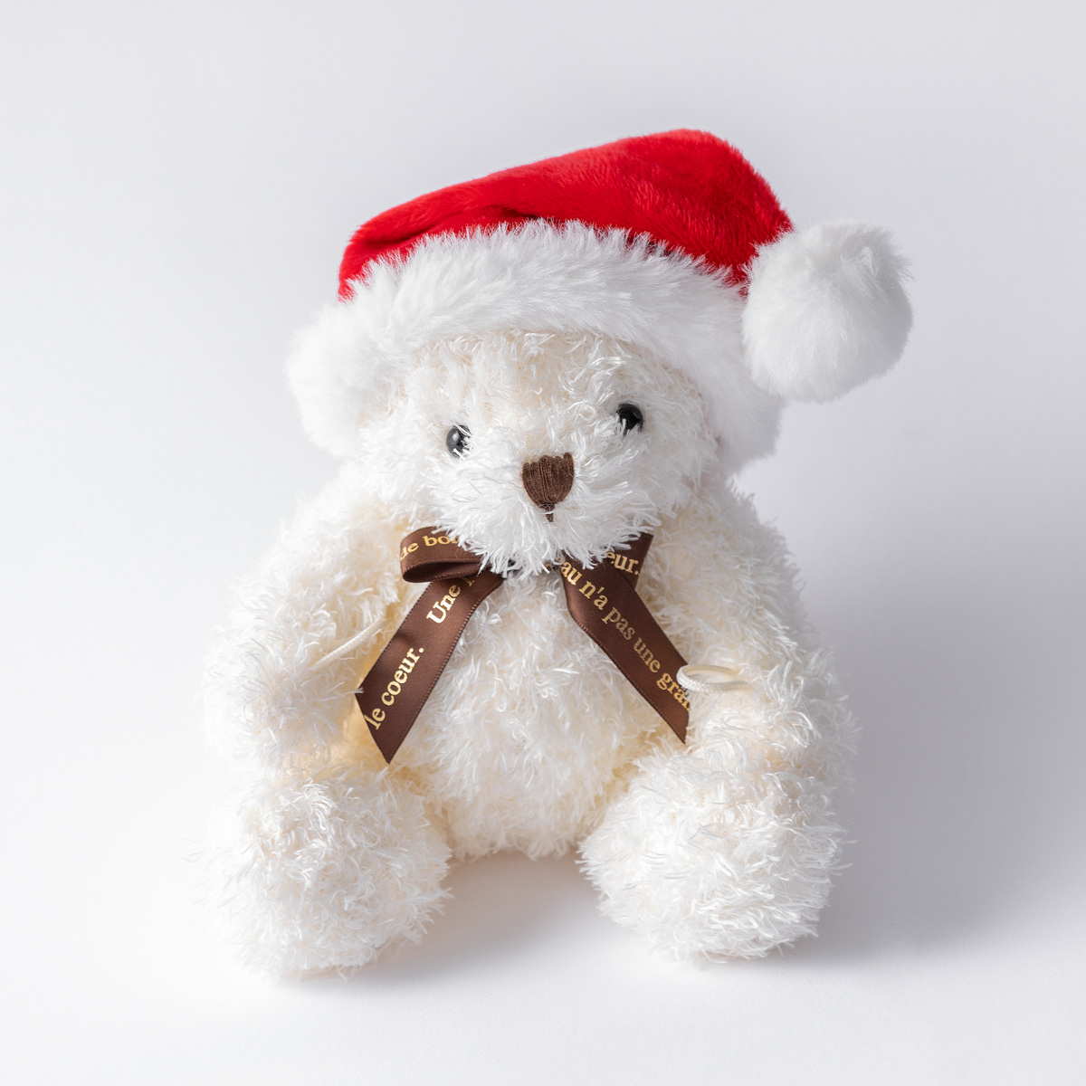 クリスマス限定ラッピング付】クリスマスベアとフルーツたっぷり